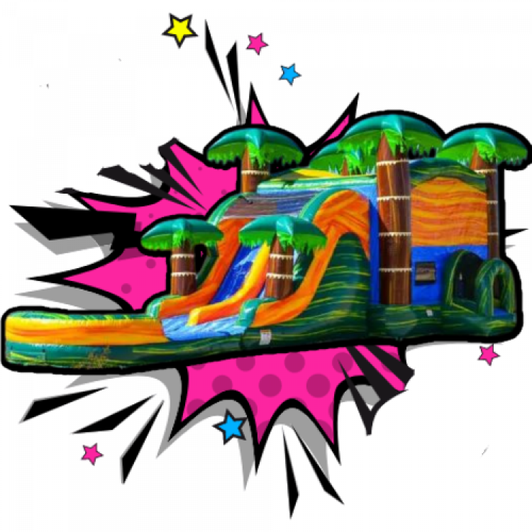 Bounce House Rentals Jump N Slide Party Rentals Jacksonville FL