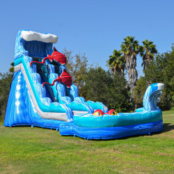 20ft sting ray water slide